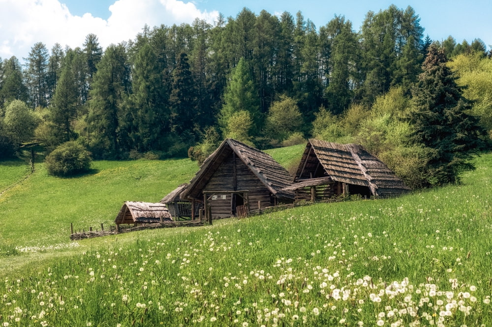 Havránok